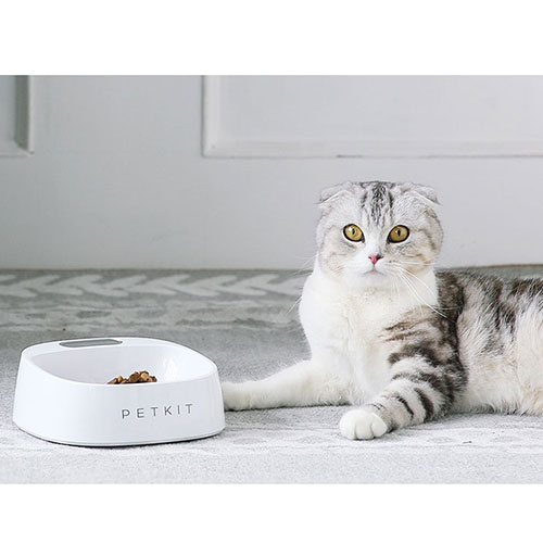 Petkit P510 Fresh Pet Bowl White